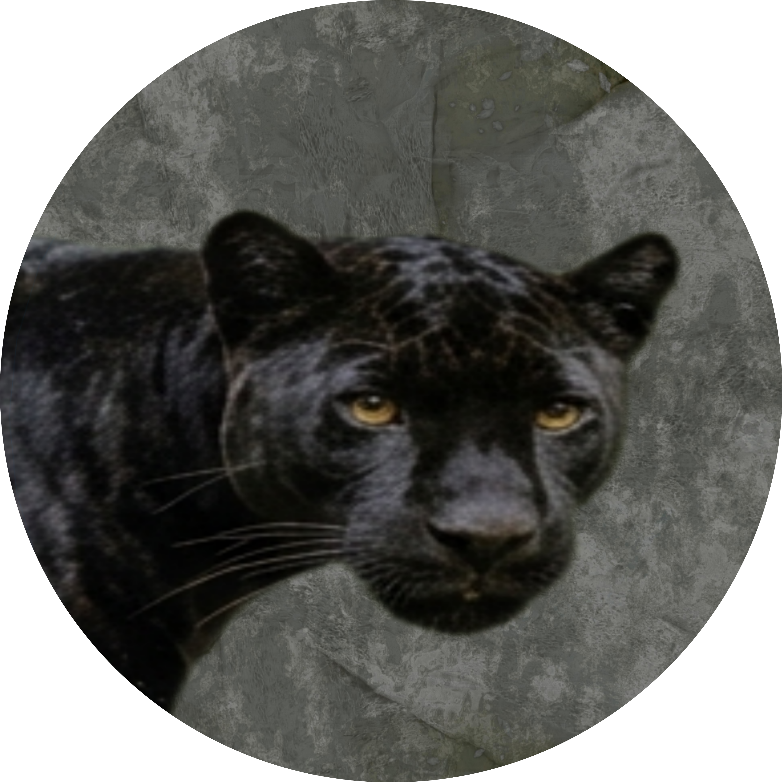 Panther's Deal
